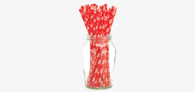 Paper Straw